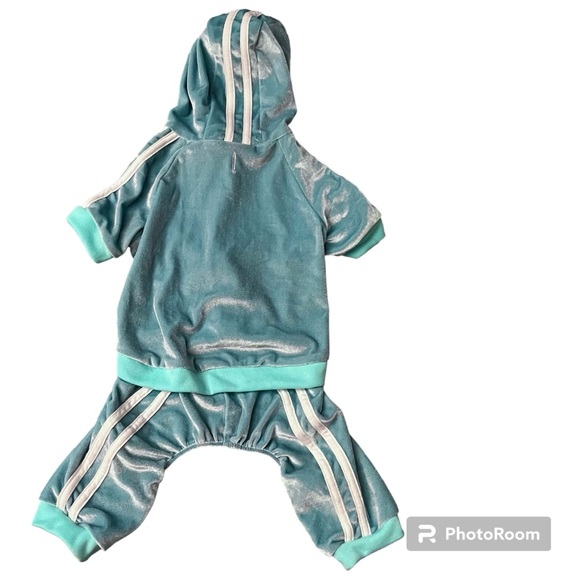 NWT Fabdog Turquoise Blue Green Velour Dog Puppy Tracksuit Jogger - Size Medium - Picture 1 of 7